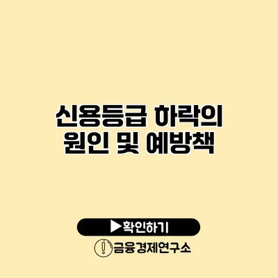 신용등급 하락의 원인 및 예방책