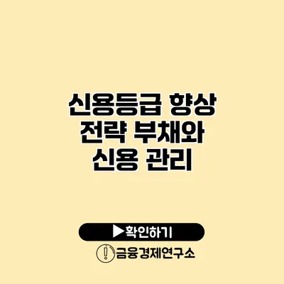신용등급 향상 전략 부채와 신용 관리