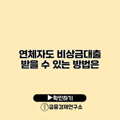 연체자도 비상금대출 받을 수 있는 방법은?