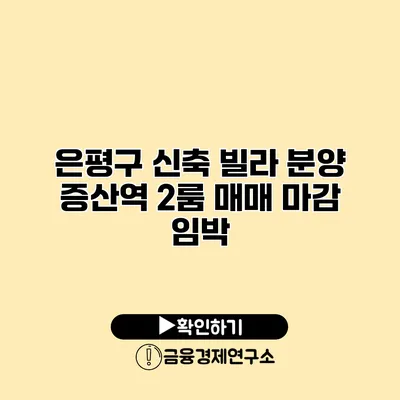 은평구 신축 빌라 분양 증산역 2룸 매매 마감 임박
