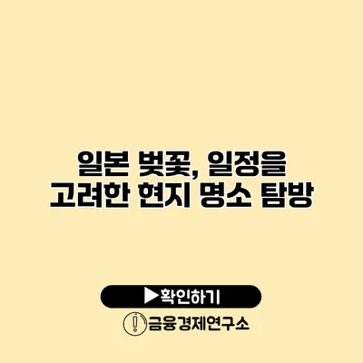 일본 벚꽃, 일정을 고려한 현지 명소 탐방