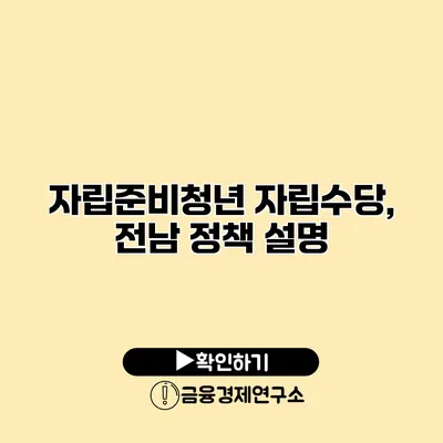 자립준비청년 자립수당, 전남 정책 설명