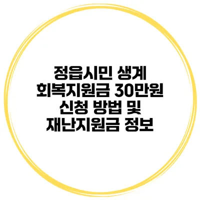 정읍시민 생계 회복지원금 30만원 신청 방법 및 재난지원금 정보