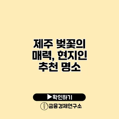 제주 벚꽃의 매력, 현지인 추천 명소