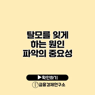 탈모를 잊게 하는 원인 파악의 중요성