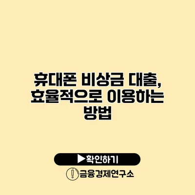 휴대폰 비상금 대출, 효율적으로 이용하는 방법