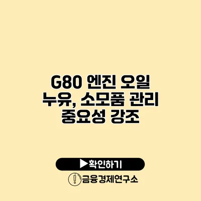 G80 엔진 오일 누유, 소모품 관리 중요성 강조