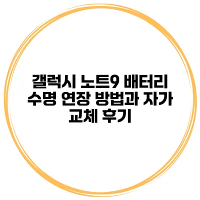 갤럭시 노트9 배터리 수명 연장 방법과 자가 교체 후기