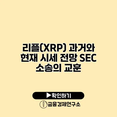 리플(XRP) 과거와 현재 시세 전망 SEC 소송의 교훈