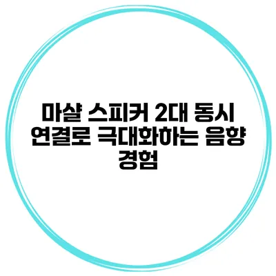 마샬 스피커 2대 동시 연결로 극대화하는 음향 경험