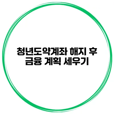 청년도약계좌 해지 후 금융 계획 세우기