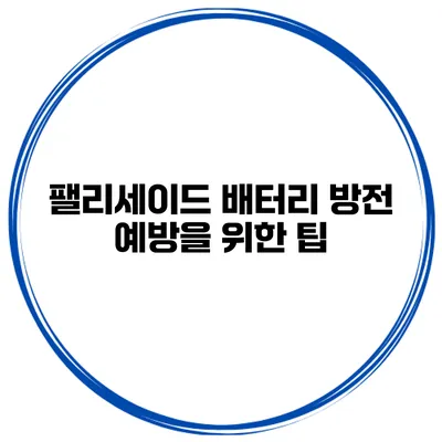 팰리세이드 배터리 방전 예방을 위한 팁